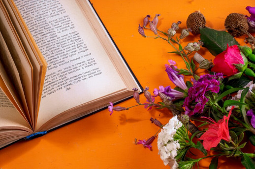 Licenza: CC0 | Crediti: CC0