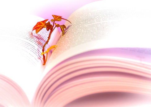 Licenza: CC0 | Crediti: CC0