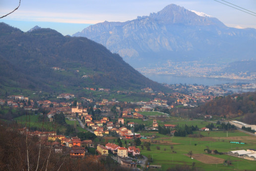 Diritto all'uso delle mani