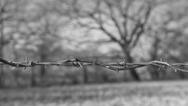 Licenza: CC0 | Crediti: CC0