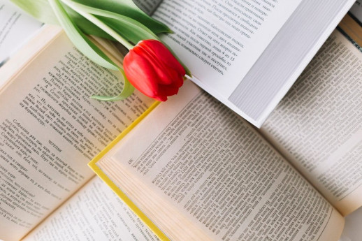 Licenza: CC0 | Crediti: CC0