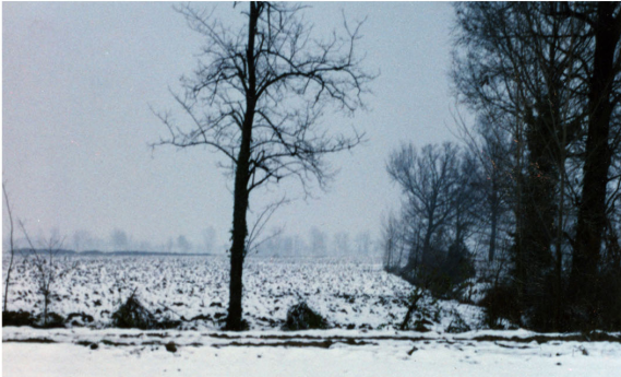 Licenza: CC0 | Crediti: CC0