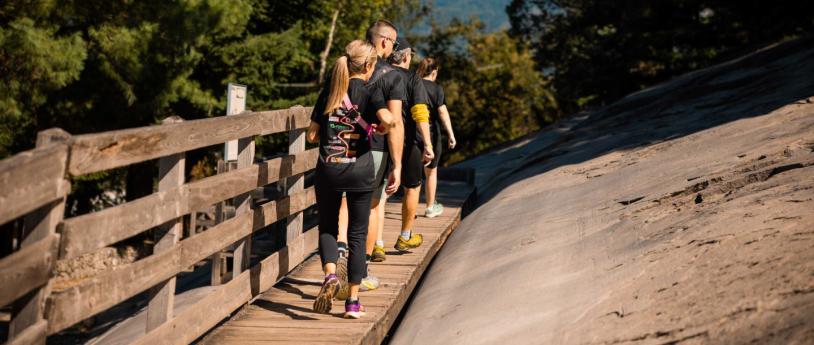 Run Aragosta la Camminata  Valle dei Segni 2026