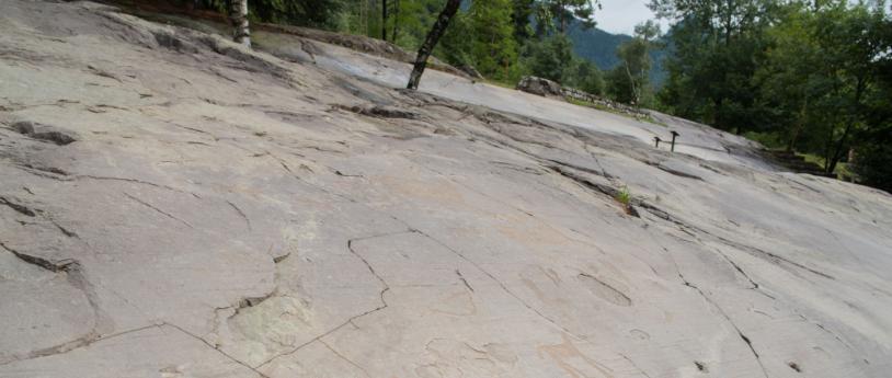 Run Aragosta la Camminata  Valle dei Segni 2026