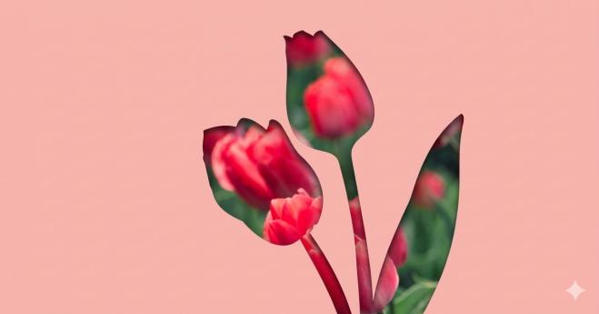 Festa di Primavera 2026 all’Orto Botanico di Pavia