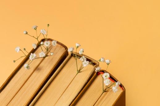 Licenza: CC0 | Crediti: CC0