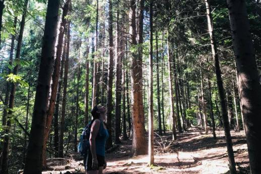 Licenza: CC0 | Crediti: CC0