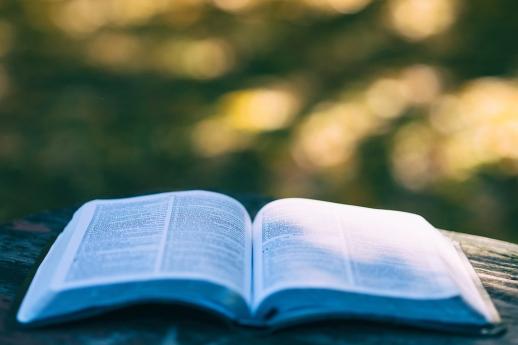 Licenza: CC0 | Crediti: CC0