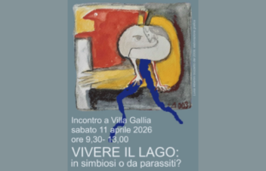 Vivere il lago: in simbiosi o da parassiti?