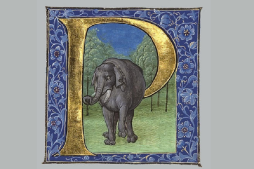 Attualità di Plinio