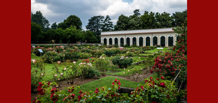 Visite guidate roseto