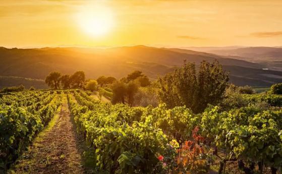 Colline Oltrepò al tramonto