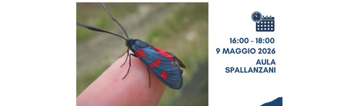 Licenza: CC0 | Crediti: CC0