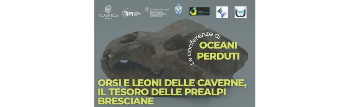 Licenza: CC0 | Crediti: CC0