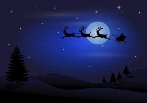 Natale Erba
