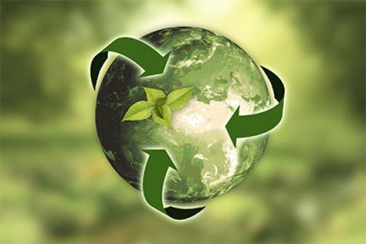 Eco-Logica 