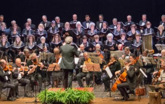 ensamble amadeus