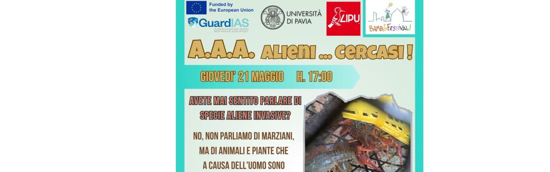 Licenza: CC0 | Crediti: CC0