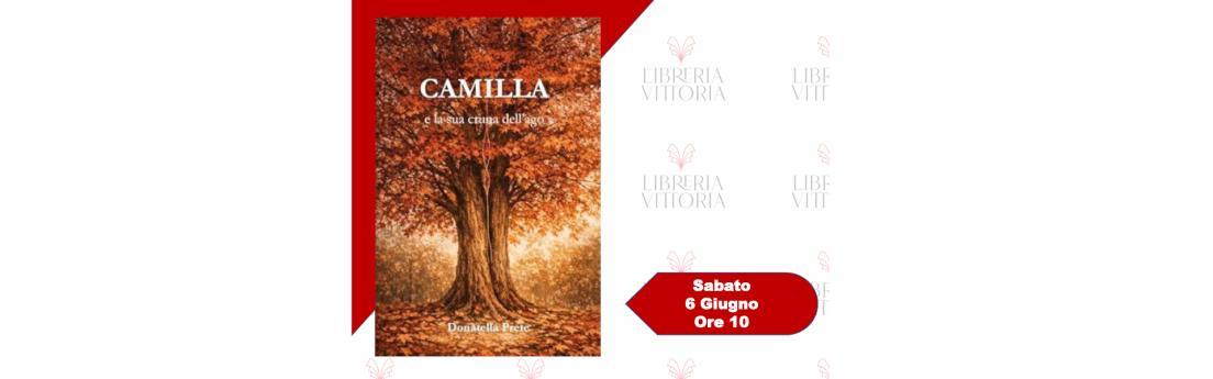 Licenza: CC0 | Crediti: CC0