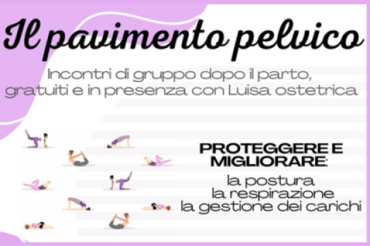 Il pavimento pelvico