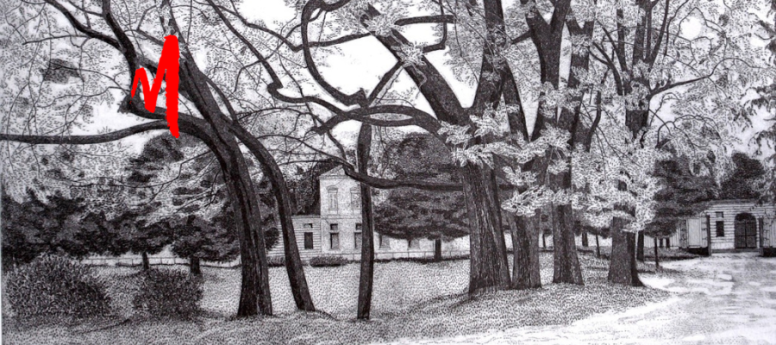 mostra federica galli