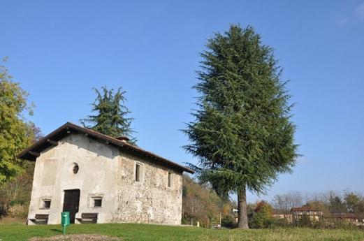 Immagine evento