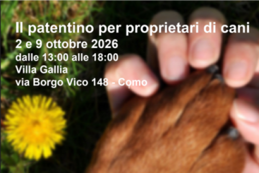 Il patentino per proprietari di cani