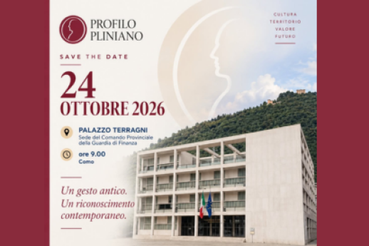 Profilo Pliniano