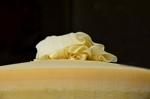 Le forme del gusto, festival delle eccellenze agroalimentari Le forme del gusto, festival delle eccellenze agroalimentari