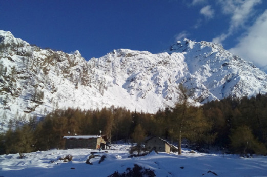 Valsassina, natura da vivere