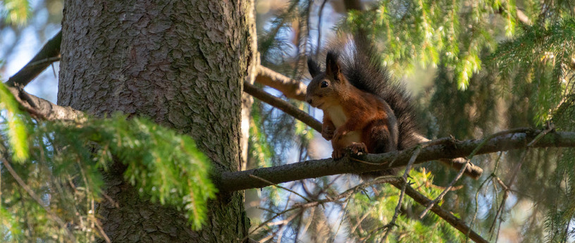 Parco della Valle del Lambro, Lombardia da visitare