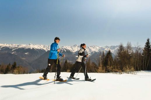 Walking with an Alpine guide