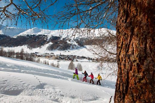 Schneeschuhwanderungen Schneeschuhwanderungen