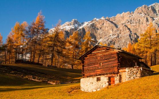 TREKKING FRA I BOSCHI