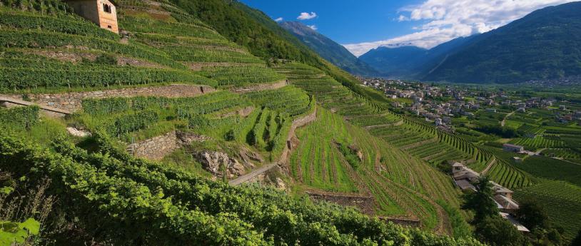 10 idee per visitare la Valtellina
