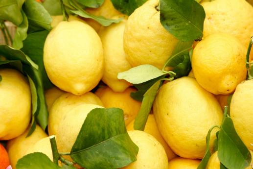 Lemons of Garda, renowned local products