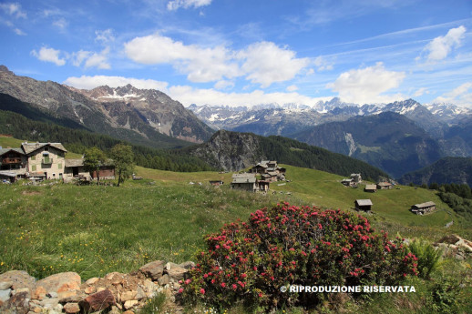 Alta via della Valmalenco - 1 Prima tappa 