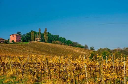 Strada Vino e Sapori Oltrepò Pavese Strada vino e sapori Oltrepò Pavese: fra storia, gusto e tradizioni