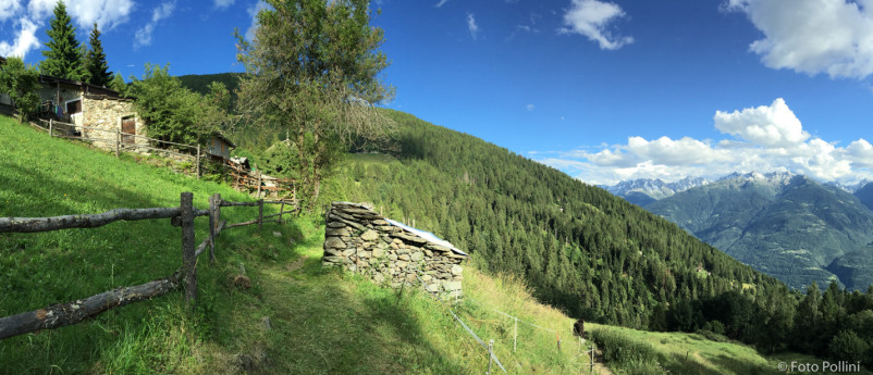 MTB-Montagna, Carnale, Davaglione