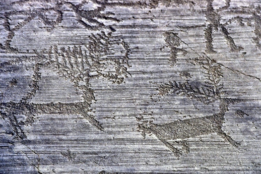 The Rock Drawings of Valcamonica