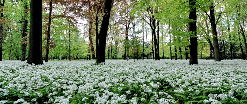 Sapori tra Monza e Brianza