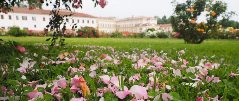 Springtime in the Royal Residence and Park of Monza