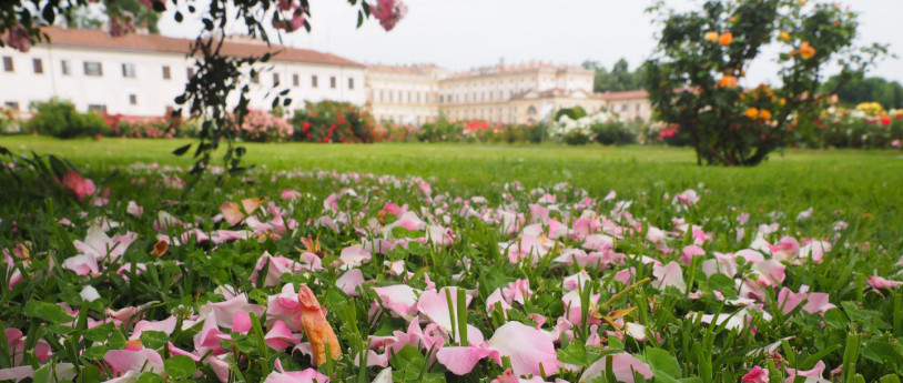 Primavera alla Reggia e al Parco di Monza