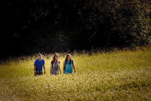 Passeggiata Teglio - Verida - Palama - Ravarola - Teglio