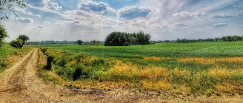 Scopri la pianura bresciana Scopri la pianura bresciana