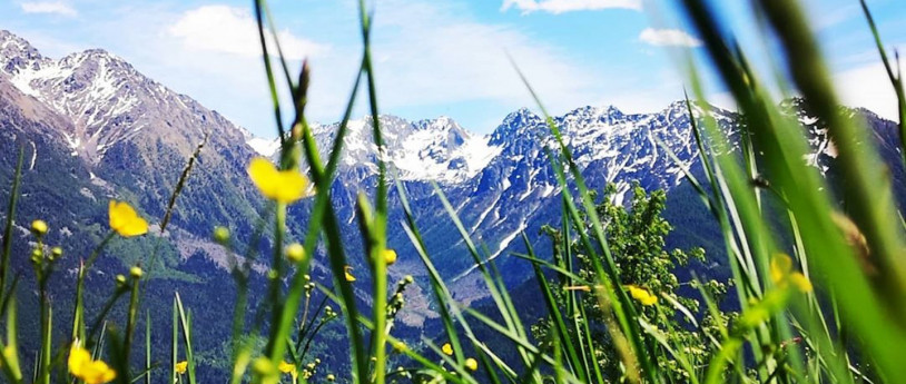 Sapori e prelibatezze della Valle Camonica