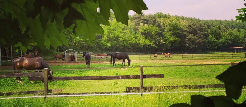 Parco Appiano Gentile