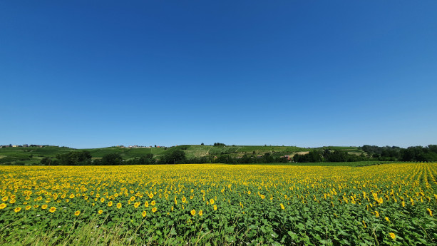 Agrotourismus in der Pavia: wo man sich ganz wie zu Hause fühlt