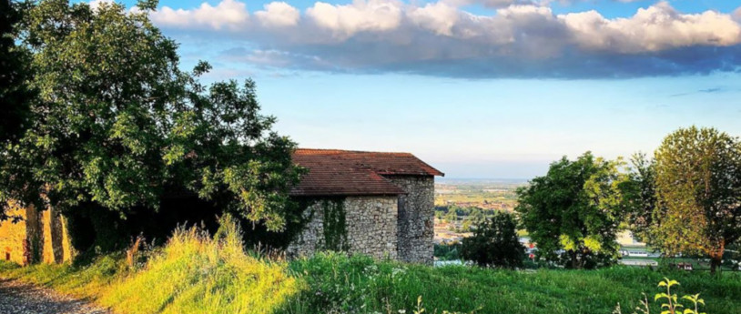 Val Calepio:in viaggio tra vini e sapori