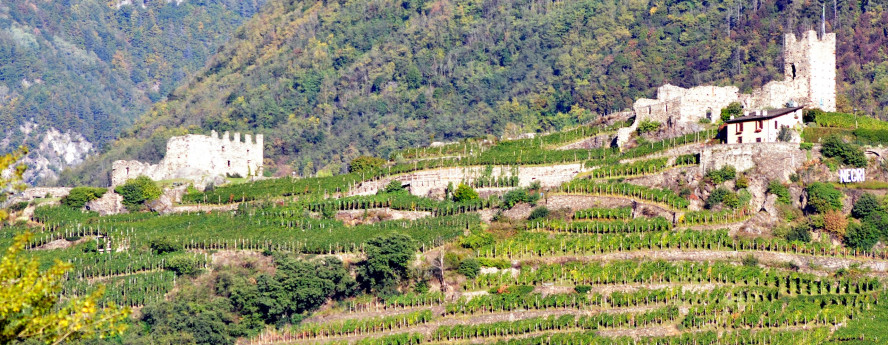 La strada del vino e dei sapori